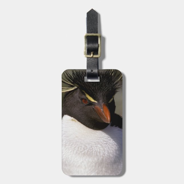 Étiquette À Bagage Antarctique, îles sub-antarctiques, Sud 5 (Devant Vertical)