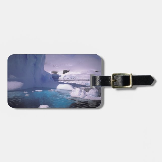 Étiquette À Bagage Antarctique. Sévices de l'Antarctique 2 (Devant horizontal)