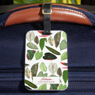 Étiquette À Bagage Aquarelle botanique Vintage verdure Feuilles