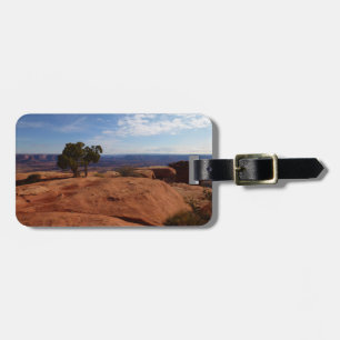 Étiquette À Bagage Arbre hors des rochers rouges I à Canyonlands