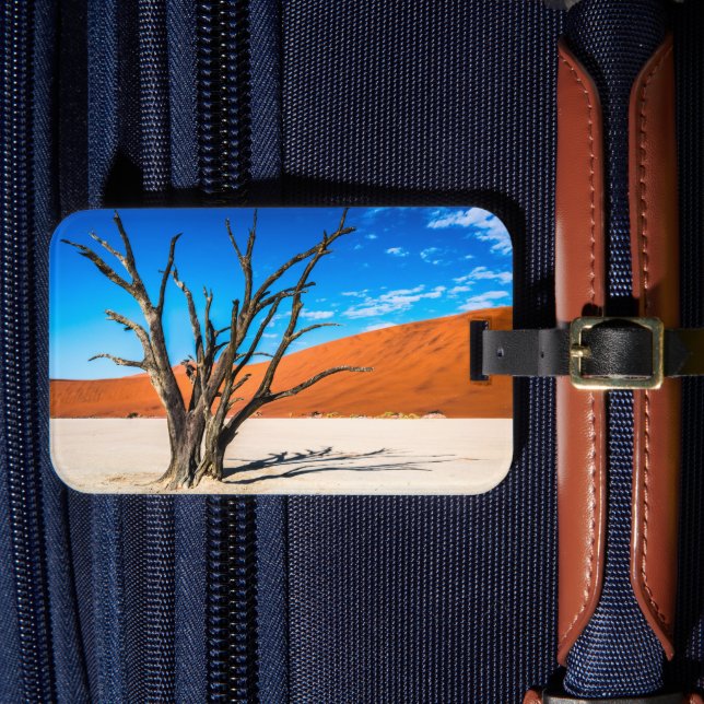 Étiquette À Bagage Arbre mort à Deadvlei, Namibie (Insitu Rectoal 4)