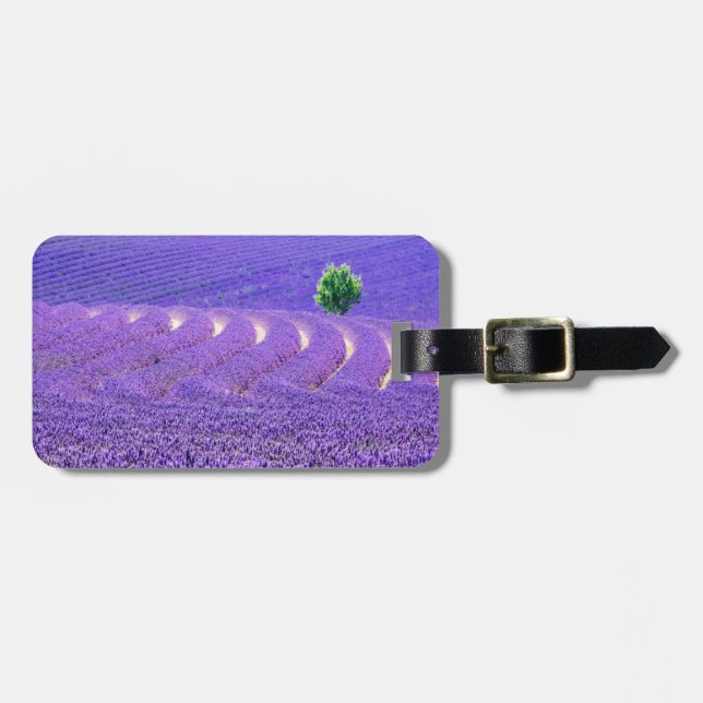 Étiquette À Bagage Arbre solitaire à Lavender Field, France (Devant horizontal)