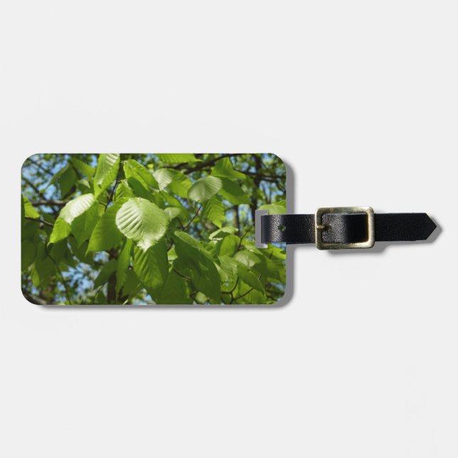 Étiquette À Bagage Arbre vert Feuille à bouleau printanier (Devant horizontal)