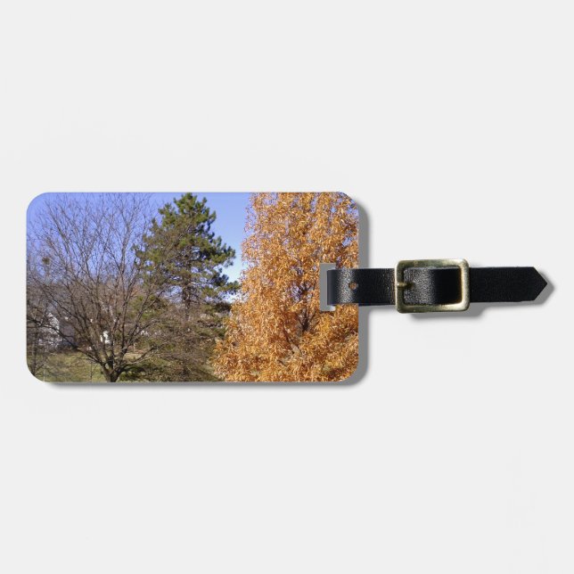 Étiquette À Bagage Arbres d'automne (Devant horizontal)