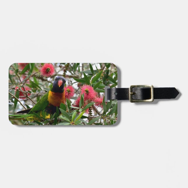 ÉTIQUETTE À BAGAGE ARC-EN-CIEL LORIKETT DANS L'ARBRE QUEENSLAND (Devant horizontal)