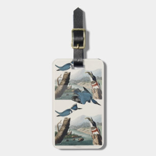 Étiquette À Bagage Art vintage du martin-pêcheur à ceinture d'Audubon