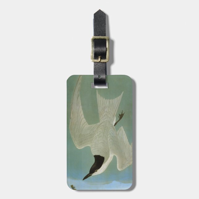 Étiquette À Bagage Audubon : Sterne Mouette-Affichée (Devant Vertical)