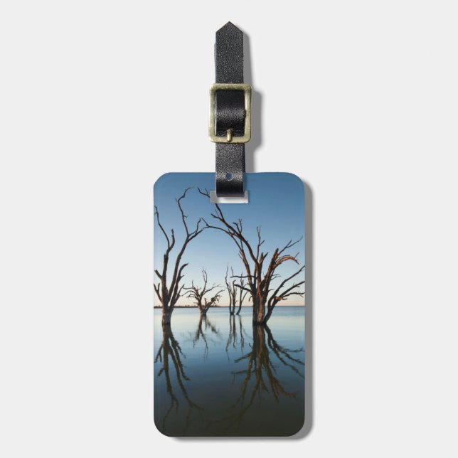Étiquette À Bagage Australie, vallée du Murray, Barmera, lac (Devant Vertical)