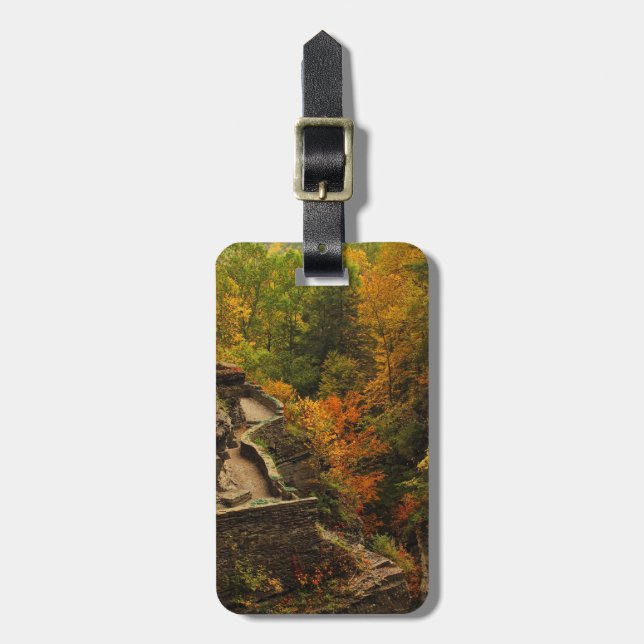Étiquette À Bagage Automne dans le Parc d'Etat de Treman (Devant Vertical)