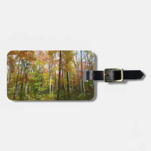 Étiquette À Bagage Automne Forêt I Automne Paysage Photographie