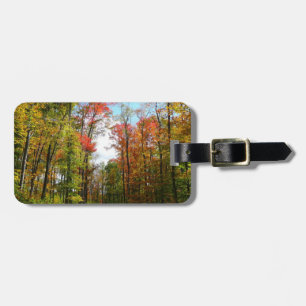 Étiquette À Bagage Automnes Arbres et Ciel bleu Automne Photographie