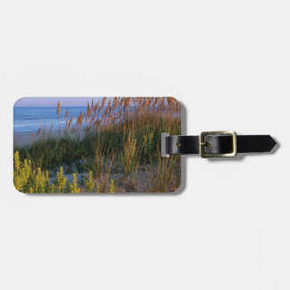 Étiquette À Bagage Avoine et plage de mer