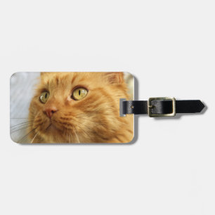 Étiquette À Bagage Bagage orange de chat de ragondin