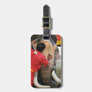 Étiquette À Bagage Bain Eléphant ... Ayutthaya, Thaïlande