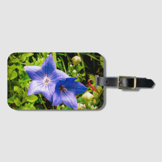 Étiquette À Bagage Baisses de rosée de matin sur une fleur de ballon