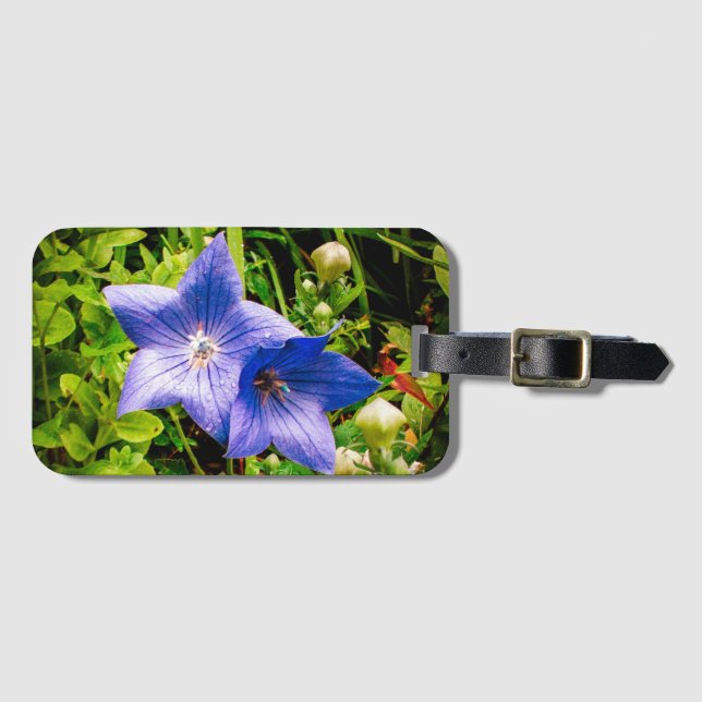 Étiquette À Bagage Baisses de rosée de matin sur une fleur de ballon (Devant Horizontal)