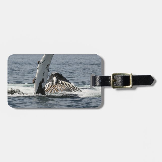 Étiquette À Bagage Baleine à bosse (Devant horizontal)