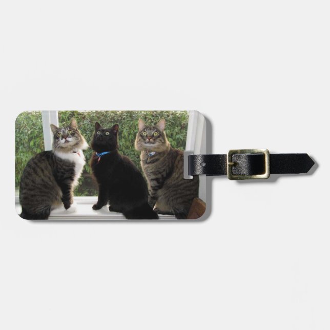 Étiquette À Bagage Balise Bagage de trois amis de chat (Devant horizontal)