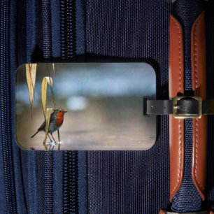 Étiquette À Bagage Balise de bagage américaine couleur solide