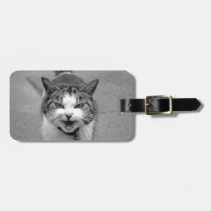 Étiquette À Bagage Balise de bagage de chat de crabby