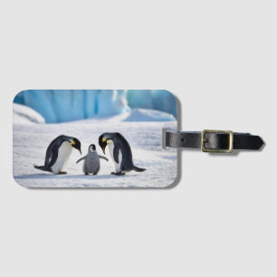 Étiquette À Bagage Balise de bagage de famille de pingouins