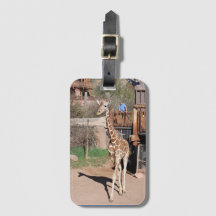 Balise de bagage irlandaise n° 1