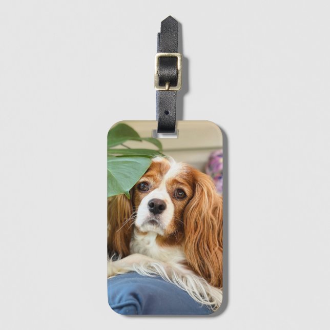 Étiquette À Bagage Balise de bagage King Charles Cavalier (Devant Vertical)