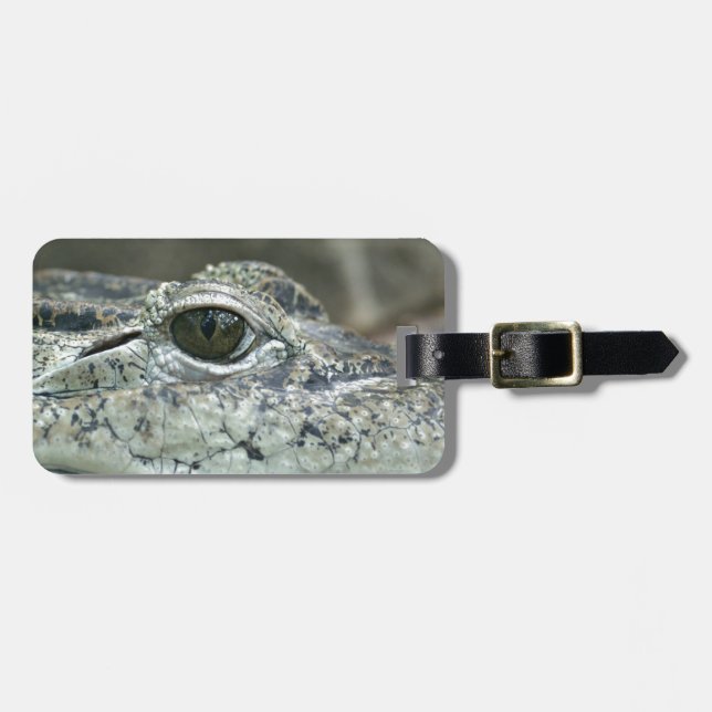 Étiquette À Bagage Balise de bagage oculaire crocodile (Devant horizontal)