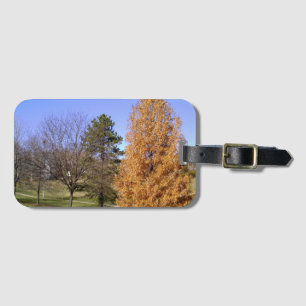 Étiquette À Bagage Balise de bagage pittoresque avec fente Carte de v