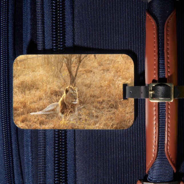Étiquette À Bagage Balise Lion Luggage (Insitu Rectoal 4)