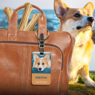 Étiquette À Bagage Balise Porteur d'animaux de compagnie photo