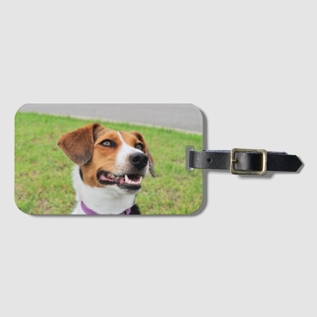 Étiquette À Bagage Beagle (Devant Horizontal)