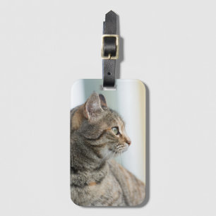 Étiquette À Bagage Beau chat gris