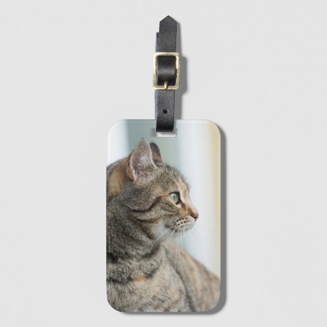 Étiquette À Bagage Beau chat gris (Devant Vertical)
