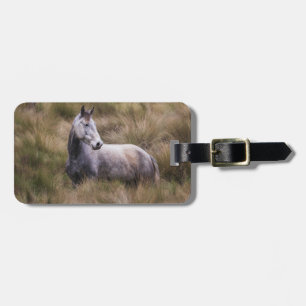 Étiquette À Bagage Beau cheval de couleur grise