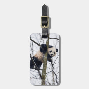 Étiquette À Bagage Bébé Panda dans l'arbre