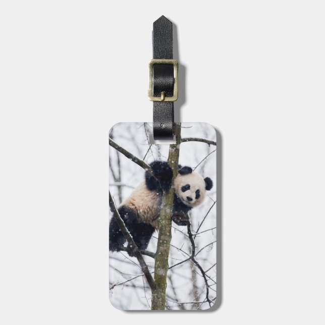 Étiquette À Bagage Bébé Panda dans l'arbre (Devant Vertical)