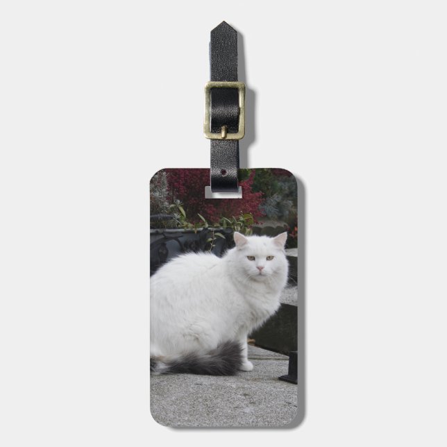 Étiquette À Bagage Belle Chat Blanc Sur Une Grave (Devant Vertical)