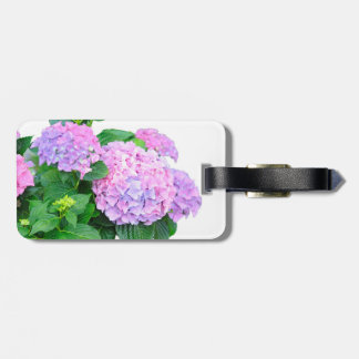 Étiquette À Bagage Belle étiquette de bagages Hydrangeas