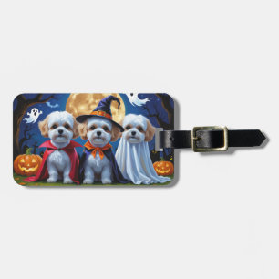 Étiquette À Bagage Bichon Frise Chiens Citrouille Halloween Funny