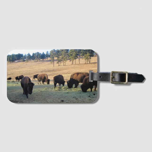 Étiquette À Bagage Bison dans le Colorado (Devant Horizontal)