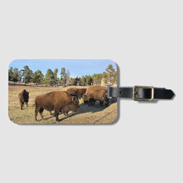 Étiquette À Bagage Bison dans le Colorado (Devant Horizontal)