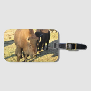 Étiquette À Bagage Bison dans le Colorado