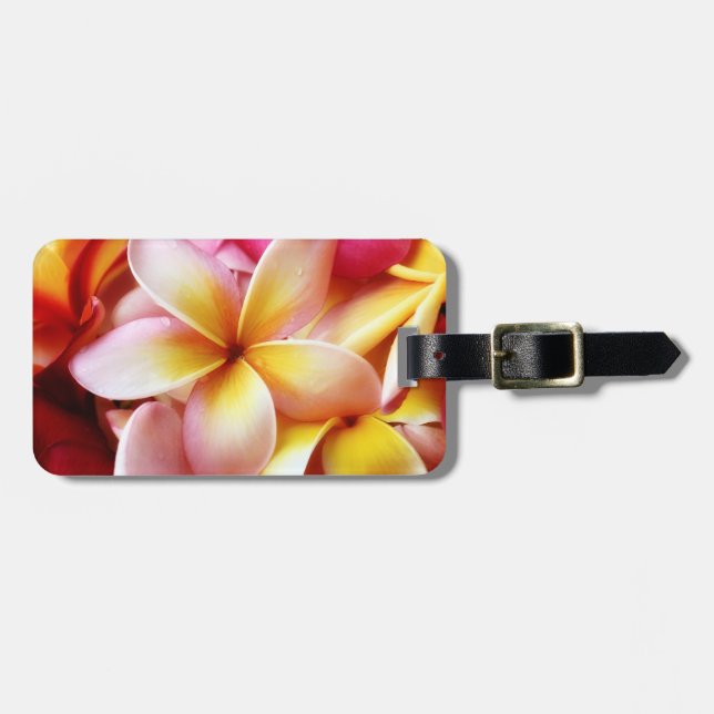 Étiquette À Bagage Blanc customisé par fleur d'Hawaï de Frangipani de (Devant horizontal)