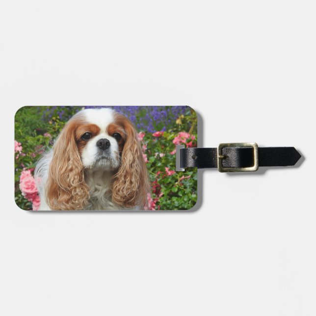 Étiquette À Bagage Blenheim Cavalier King Charles Spaniel Chien (Devant horizontal)