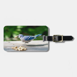 Étiquette À Bagage Blue Jay obtient une cacahuète