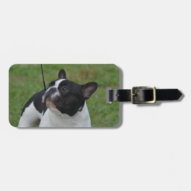 Étiquette À Bagage Bouledogue français noir et blanc (Devant horizontal)