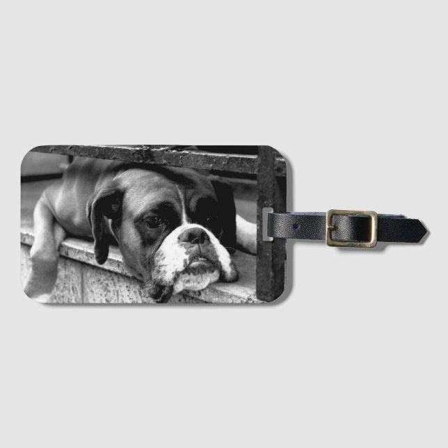 Étiquette À Bagage Boxer Chien sur Windows sill bc ltcnm (Devant Horizontal)
