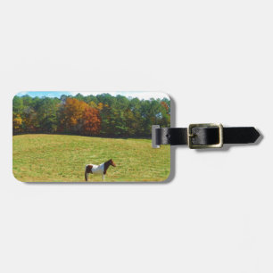 Étiquette À Bagage Brown & cheval blanc, arbres d'automne, ciel bleu