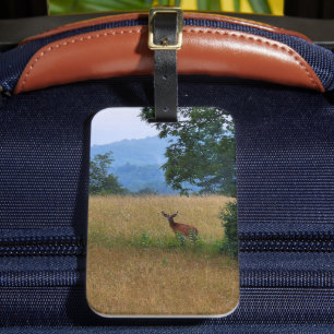 Étiquette À Bagage Buck debout dans un champ